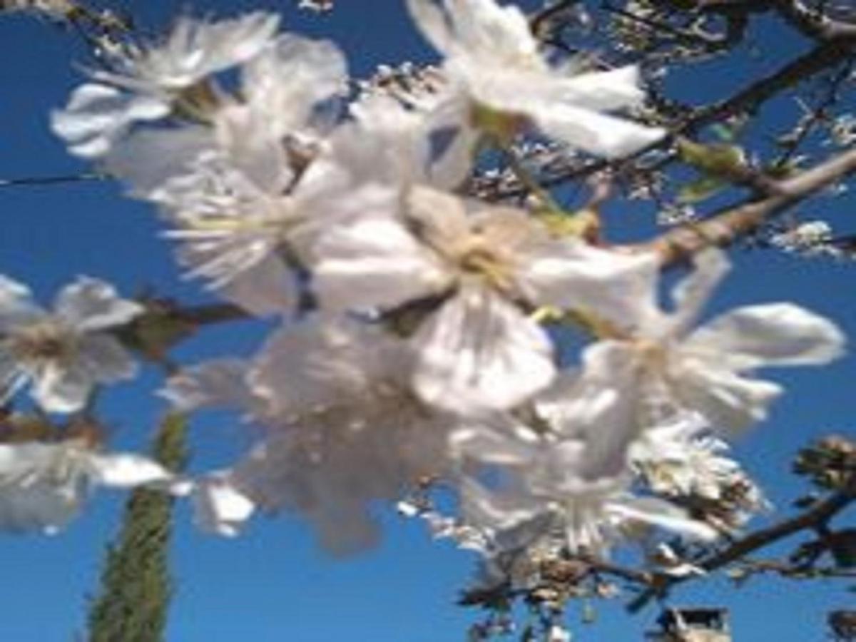 Naturaleza, Confort Y Vistas Inigualable En Casa Rural La Cumbre Gata Exteriér fotografie
