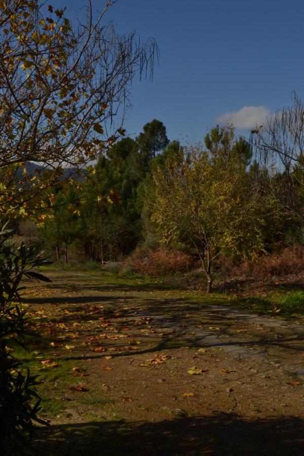 Naturaleza, Confort Y Vistas Inigualable En Casa Rural La Cumbre Gata Exteriér fotografie